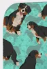 Bernese Mountain Dog Quilted Throw Blanket — 50"×60", Cotton Fill, Whip Stitch Trim, Lightweight | $66.06