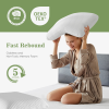 Memory Foam Cervical Support Pillow 2-Pack — Odorless, Ergonomic Contour, Detachable Washable Cover, All Sleep Positions