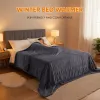 edx Electric Heated Blanket — Dual Zone Control, 10 Heat Settings, Auto-Off, 200 GSM Flannel & Sherpa | Throw / Twin / Full